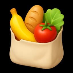 Grocery bag